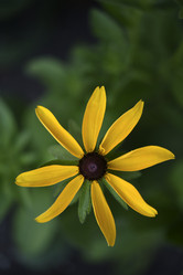 Similar image 21515399