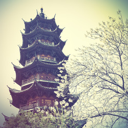 Similar image 21515629