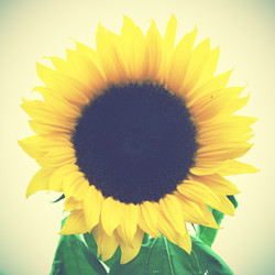 Similar image 21515630