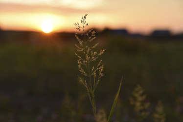 Similar image 21515488