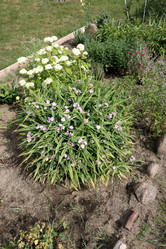 Similar image 21518245