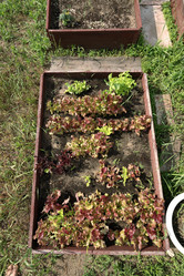 Similar image 21518248