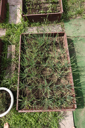 Similar image 21518254