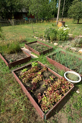 Similar image 21518265