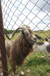 Similar image 21518273