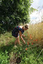 Similar image 21518274