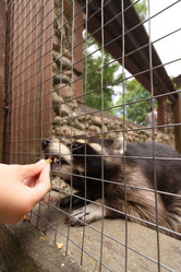 Similar image 21518276