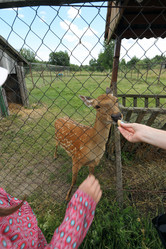 Similar image 21518281