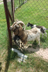 Similar image 21518289