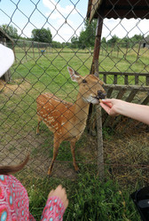 Similar image 21518297