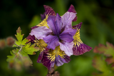 Similar image 21515266