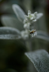 Similar image 21515267