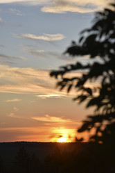 Similar image 21515419