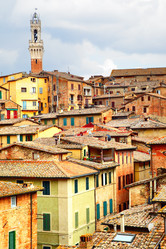 Similar image 21516494