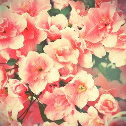 Similar image 21515954