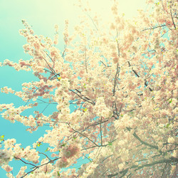 Similar image 21515962