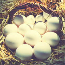 Similar image 21516171