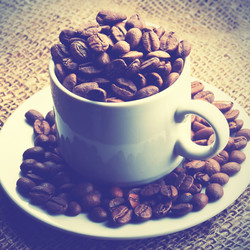 Similar image 21516190