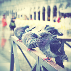 Similar image 21516204