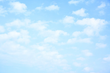 Similar image 21516229