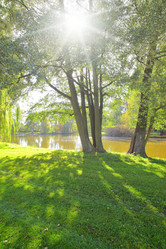 Similar image 21516495