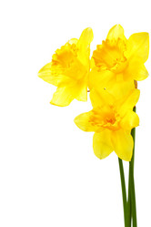 Similar image 21516014