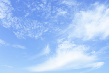 Similar image 21516022