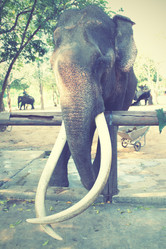 Similar image 21516352