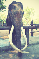 Similar image 21516084