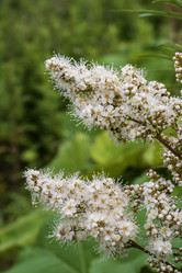 Similar image 21515749