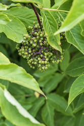 Similar image 21515755