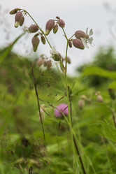 Similar image 21515756