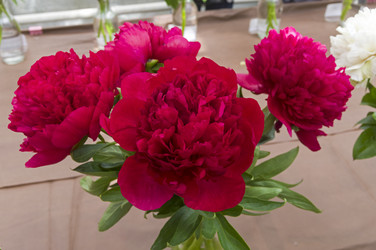 Similar image 21515758