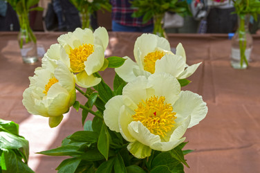 Similar image 21515760