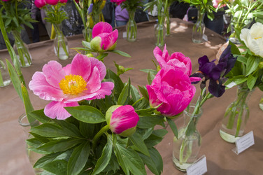 Similar image 21515761