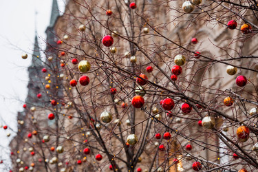 Similar image 21517805