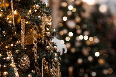 Similar image 21517821