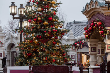 Similar image 21517829