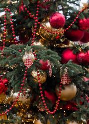 Similar image 21517830