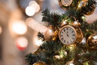 Similar image 21517834