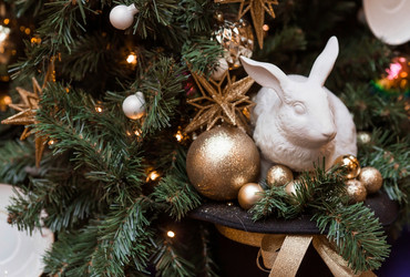 Similar image 21517839