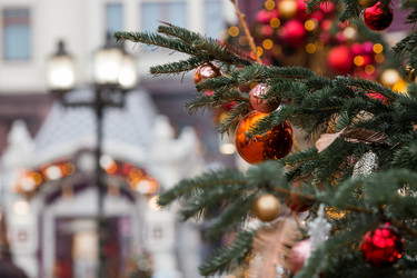 Similar image 21517850