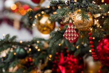 Similar image 21517853