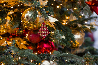 Similar image 21517855