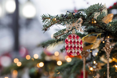 Similar image 21517858