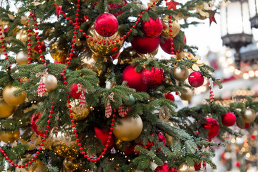 Similar image 21517859