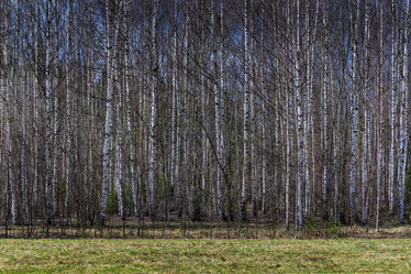 Similar image 21515764