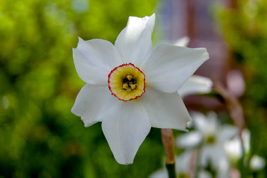 Similar image 21515768