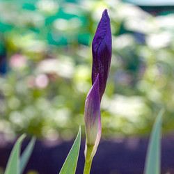 Similar image 21515770