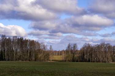 Similar image 21515771